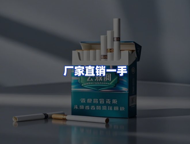 专业团队